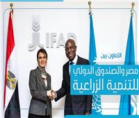 إنفوجراف| التعاون بين مصر والصندوق الدولي للتنمية الزراعية «ايفاد»