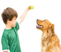 تعرفي على التأثير النفسي لهجوم الكلاب على الأطفال.. وكيفية علاجه