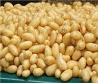 «أبو ستيت»: زيادة صادرات البطاطس تؤكد جودة منتجاتنا الزراعية