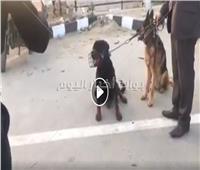 فيديو .. القبض على كلبيّ واقعة "طفل مدينتي" وتسليمهما لقسم الشرطة 