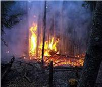 حريق يهدد غابة البامبو في جبل كينيا