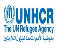 الأمم المتحدة تحث على توفير الدعم الحيوي للاجئين في مصر