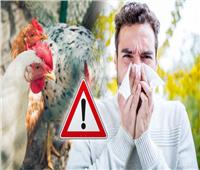 فيديو| الزراعة تعلن ظهور نوع جديد لمرض إنفلونزا الطيور
