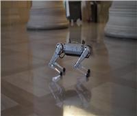 فيديو | الروبوت «الفهد» أحدث طفرة في مجال التكنولوجيا الحركية 