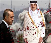 وثائق| شكوى رسمية للمفوضية السامية لحقوق الإنسان ضد قنوات الإرهابية في تركيا وقطر 