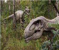محاولات لإحياء حيوان من عصر الديناصورات