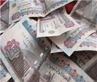 فيديو| تعرف على أكبر فئة دافعة للضرائب في مصر