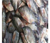 ضبط 8 أطنان أسماك فاسدة داخل مخزن في السويس