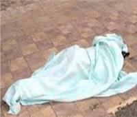 حبس عاملين قتلا سيدة وألقيا جثتها بالطريق العام في المعصرة
