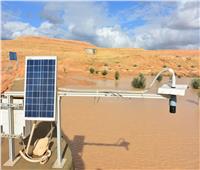 اليوم.. بحوث الصحراء ينظم ورشة عمل حول «الأنظمة البيئية السليمة لتنمية المراعي»