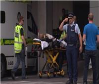 نيوزيلندا تحظر الأسلحة نصف الآلية المستخدمة في الهجوم على المسجدين