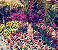 صور| لوحات فنية من النباتات النادرة بمعرض زهور الربيع