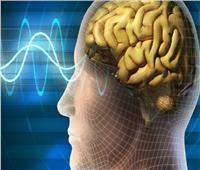 دراسة: الدماغ البشري قادر على اكتشاف المجال المغناطيسي للأرض