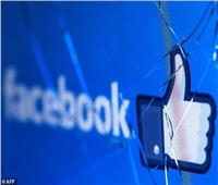 «فيسبوك» يحذف 500 صفحة وحساب تستهدف مصر ودولا أخرى