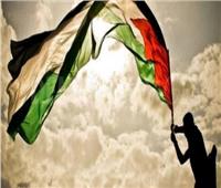 الأزهر: نضال الشعب الفلسطيني يستحق دعم كل المنصفين في العالم