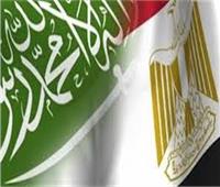 تعاون مصرى سعودى فى «مجالات التقاعد»