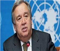 الأمم المتحدة: ندعم التحول الديمقراطي في الجزائر