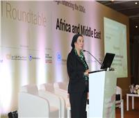 وزيرة البيئة تشارك في المائدة المستديرة لتأهيل السوق بإفريقيا والشرق الأوسط