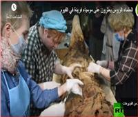 فيديو| العلماء الروس يعثرون على مومياء فريدة في الفيوم