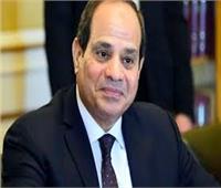 بسام راضي: «السيسي» يتفقد إجراءات التفتيش ورفع الكفاءة القتالية بقاعدة محمد نجيب 