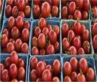 3 طرق سحرية لـ«تخزين الطماطم» قبل رمضان