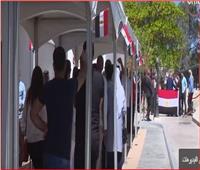 فيديو| السفارات والقنصليات تستعد لاستقبال الناخبين في الاستفتاء على التعديلات الدستورية