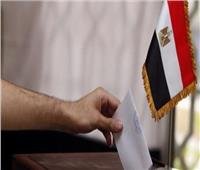 تنطلق في 124 دولة خلال ساعات.. دليل الناخب المصري المغترب للمشاركة في استفتاء التعديلات الدستورية