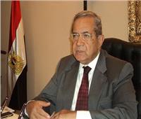 فيديو| دبلوماسي سابق: استفتاء التعديلات الدستورية مناسبة سعيدة للمصريين بالخارج