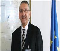 سفير مصر بواشنطن: المصريون بأمريكا حريصون على المشاركة في «التعديلات الدستورية»