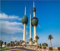 سليم: إقبال المصريين في الكويت على الاستفتاء فاق التوقعات