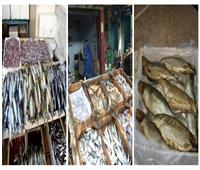 10 إجراءات لـ«الزراعة» لمراقبة أسواق الأسماك الطازجة والمملحة قبل شم النسيم