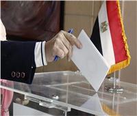 التعديلات الدستورية 2019| انتهاء التصويت في السفارة المصرية بالجزائر