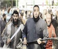 «كراتين الإخوان» في الاستفتاء تكشف محاولات «الإرهابية» الفاشلة لتشويه صورة مصر