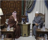 شيخ الأزهر يناقش تحديات القضية الفلسطينية مع وزير خارجية البحرين