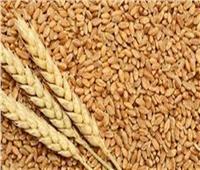 تحذير من التموين لمزارعي وموردي القمح