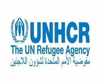 الأمم المتحدة: فحص فيروس سي مجانا لـ11 ألف لاجئ بالأراضي المصرية