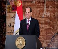 الرئيس السيسي يجدد تعيين صالح عبد الرحمن رئيساً لـ«التنظيم والإدارة»