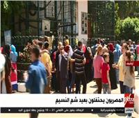 بث مباشر| المصريون يحتفلون بأعياد شم النسيم 