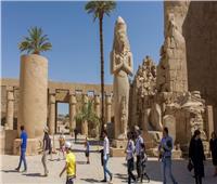 فيديو| الغرف السياحية: الآثار المصرية فريدة ولا يمكن منافستها 