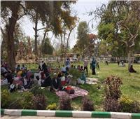 شم النسيم 2019| الفسيخ يغزو حدائق القناطر احتفالا بأعياد الربيع