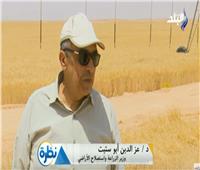 فيديو| وزير الزراعة: حصاد 30 فدان قمح يوميا بمشروع غرب المنيا