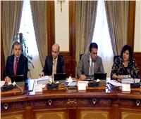 الحكومة: تعديل مسمى معهد الدراسات والبحوث الإحصائية بجامعة القاهرة 