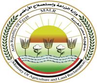 الزراعة تكليف «أحمد عوض» مديرا لصندوق الموازنة