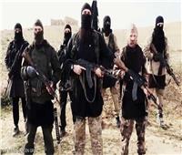 داعش يعلن مسؤوليته عن هجوم على جنود في النيجر