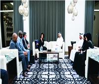 مباحثات في العلاقات الثنائية بين وزراء خارجية الإمارات وجنوب أفريقيا