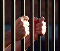 السجن المشدد 3 سنوات لتاجر طيور الشرقية لتعاطيه المخدرات