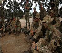 تقارير: بريطانيا أرسلت قوات خاصة للشرق الأوسط.. والحكومة ترفض التعليق