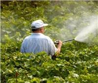 الرقابة على أسواق المبيدات يحمي المحاصيل الزراعية والمواطنين