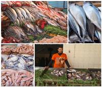 صور| «البسطاء يمتنعون».. 7 أسباب تشعل بورصة المأكولات البحرية والتجار يشكون الركود