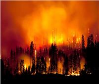 إجلاء آلاف السكان في مقطاعة ألبرتا الكندية بسبب حرائق الغابات